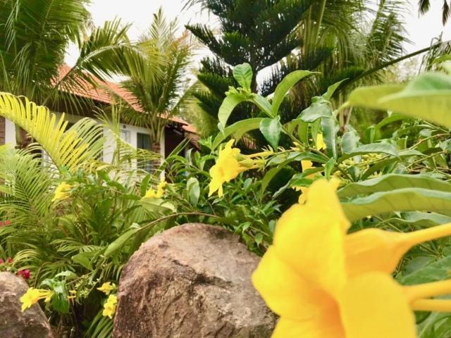 Bamboo Garden Resort Phú Quốc-sziget Kültér fotó