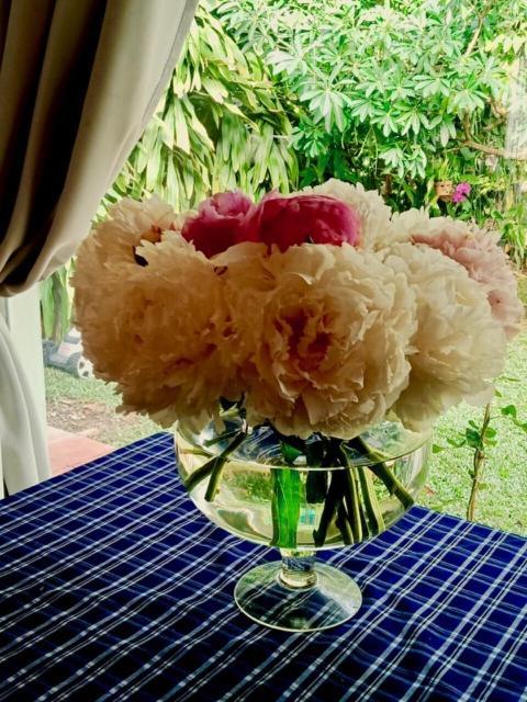 Bamboo Garden Resort Phú Quốc-sziget Kültér fotó